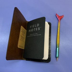 Leather covered field notes notebook and mermaid pen